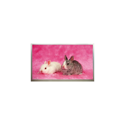 Dobra cena. Nowy 23,6 cala M236H3-P02 1920*1080 rozdzielczość LCD Display Panel w Internecie