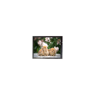 Dobra cena. 11.6 cala B116XAK02.0 1366*768 Laptop LCD Panel w Internecie